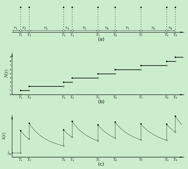 Hawkes process intensity function
